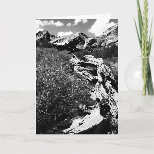 Dead Tree Mountains, zwart en wit, leeg van binnen Kaart (Voorkant)