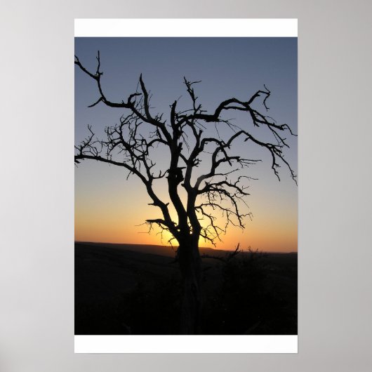 Dead_Tree_Sunset_Erock Poster (Voorkant)