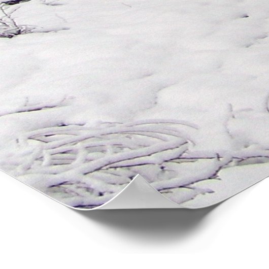 Dead van Winter Poster (Hoek)