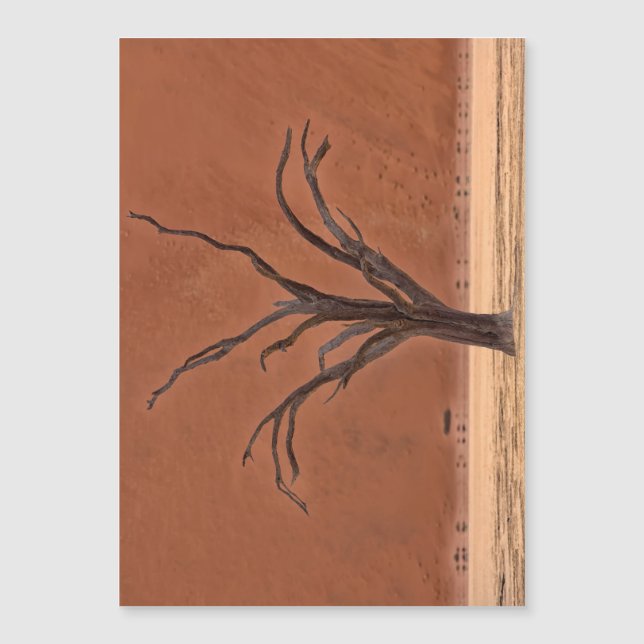 Dead Vlei, Namibia (Voorkant)