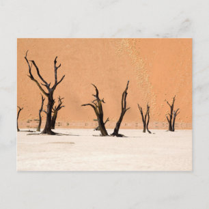 Dead Vlei, Namibia Briefkaart