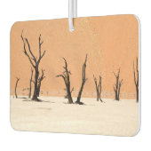 Dead Vlei, Namibia Luchtverfrisser (Links)