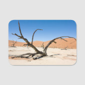 Dead Vlei, Namibia Naamplaatje (Voorkant)
