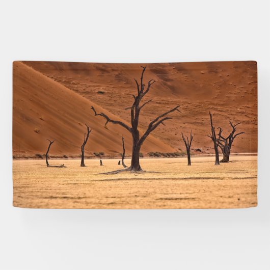 Dead Vlei, Namibia Spandoek (Horizontaal)