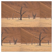 Dead Vlei, Namibia Stof (Close Up)