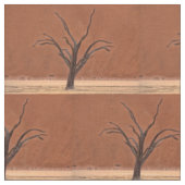 Dead Vlei, Namibia Stof (Close Up)