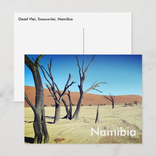 Dead Vlei, Namibië Briefkaart (Voorkant / Achterkant)