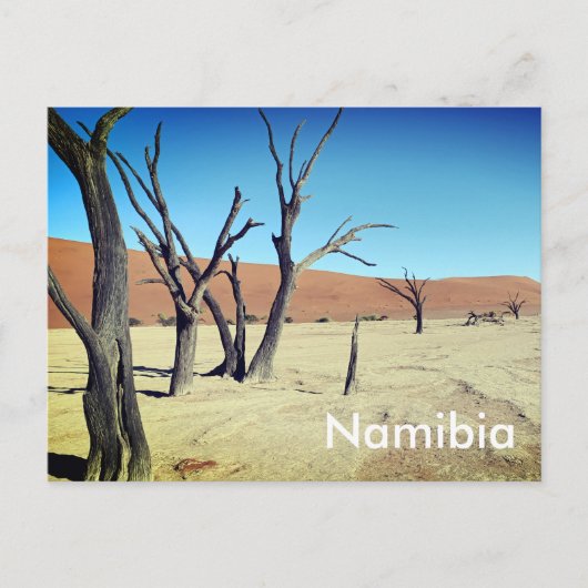 Dead Vlei, Namibië Briefkaart (Voorkant)