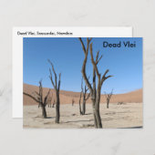 Dead Vlei, Namibië Briefkaart (Voorkant / Achterkant)