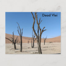Dead Vlei, Namibië Briefkaart