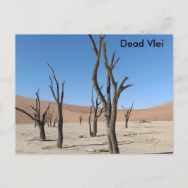 Dead Vlei, Namibië Briefkaart