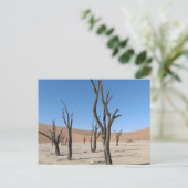 Dead Vlei, Namibië Briefkaart (Staand voorkant)