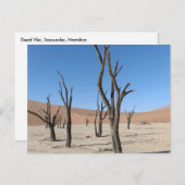 Dead Vlei, Namibië Briefkaart (Voorkant / Achterkant)