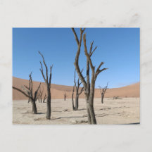 Dead Vlei, Namibië Briefkaart