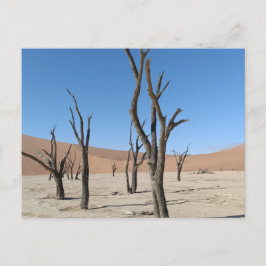 Dead Vlei, Namibië Briefkaart