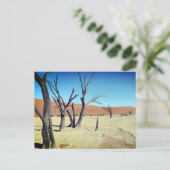Dead Vlei, Namibië Briefkaart (Staand voorkant)