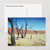 Dead Vlei, Namibië Briefkaart (Voorkant / Achterkant)