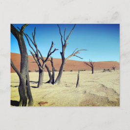 Dead Vlei, Namibië Briefkaart