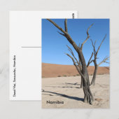 Dead Vlei, Namibië Briefkaart (Voorkant / Achterkant)