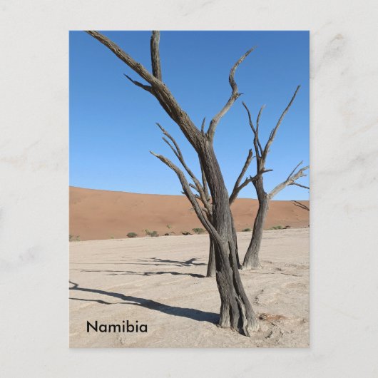 Dead Vlei, Namibië Briefkaart (Voorkant)