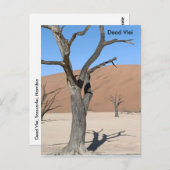 Dead Vlei, Namibië Briefkaart (Voorkant / Achterkant)