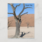 Dead Vlei, Namibië Briefkaart (Voorkant)