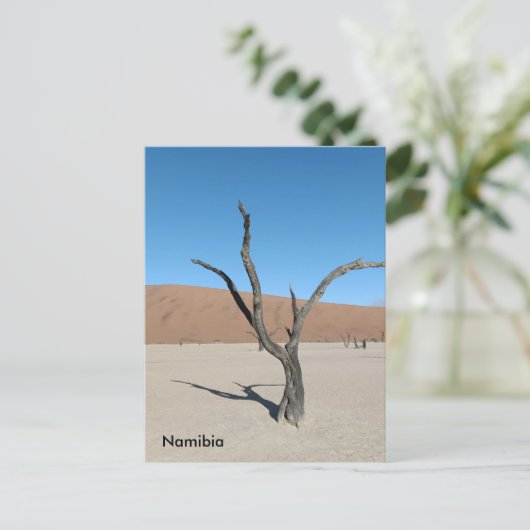 Dead Vlei, Namibië Briefkaart (Staand voorkant)