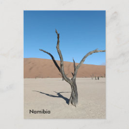 Dead Vlei, Namibië Briefkaart