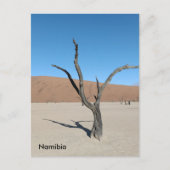 Dead Vlei, Namibië Briefkaart (Voorkant)