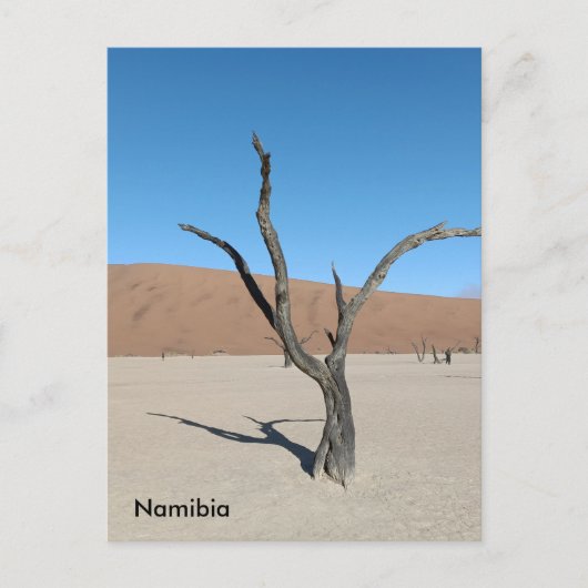 Dead Vlei, Namibië Briefkaart (Voorkant)