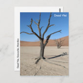 Dead Vlei, Namibië Briefkaart (Voorkant / Achterkant)
