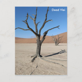 Dead Vlei, Namibië Briefkaart