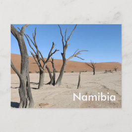 Dead Vlei, Namibië Briefkaart