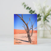 Dead Vlei, Namibië Briefkaart (Staand voorkant)