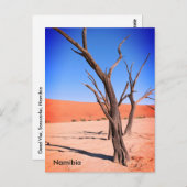 Dead Vlei, Namibië Briefkaart (Voorkant / Achterkant)