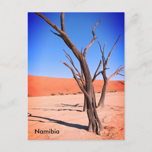 Dead Vlei, Namibië Briefkaart (Voorkant)