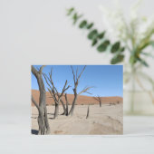 Dead Vlei, Namibië Briefkaart (Staand voorkant)