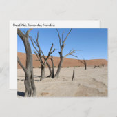 Dead Vlei, Namibië Briefkaart (Voorkant / Achterkant)