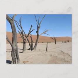 Dead Vlei, Namibië Briefkaart