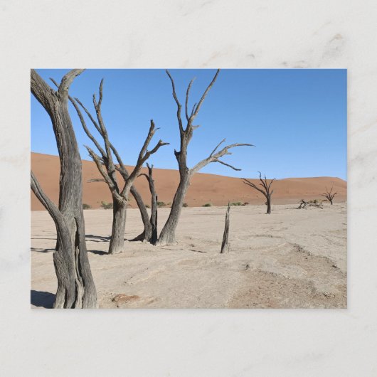 Dead Vlei, Namibië Briefkaart (Voorkant)