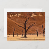 Dead Vlei Namibië landschapsfoto met tekst Briefkaart (Voorkant / Achterkant)