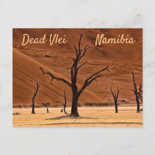 Dead Vlei Namibië landschapsfoto met tekst Briefkaart