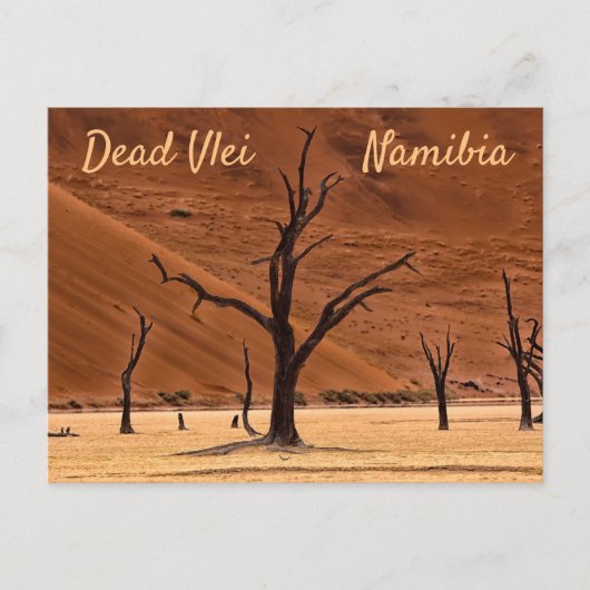 Dead Vlei Namibië landschapsfoto met tekst Briefkaart (Voorkant)