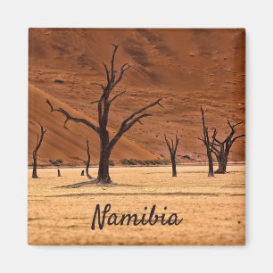 Dead Vlei Namibië landschapsfoto met tekst Magneet
