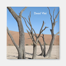 Dead Vlei, Namibische magneet
