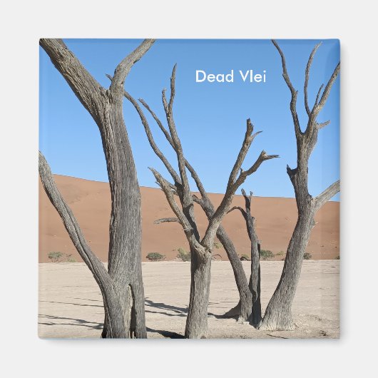 Dead Vlei, Namibische magneet (Voorkant)