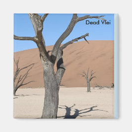 Dead Vlei, Namibische magneet