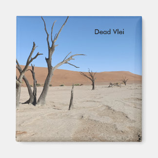 Dead Vlei, Namibische magneet