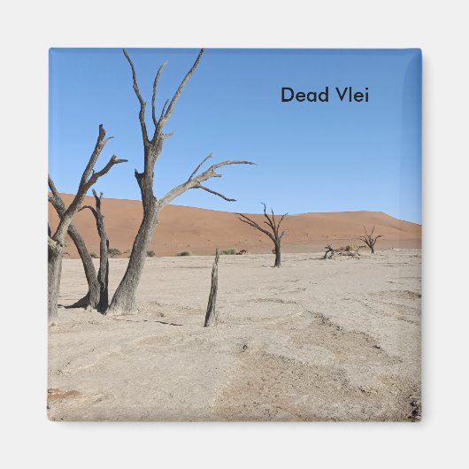 Dead Vlei, Namibische magneet (Voorkant)