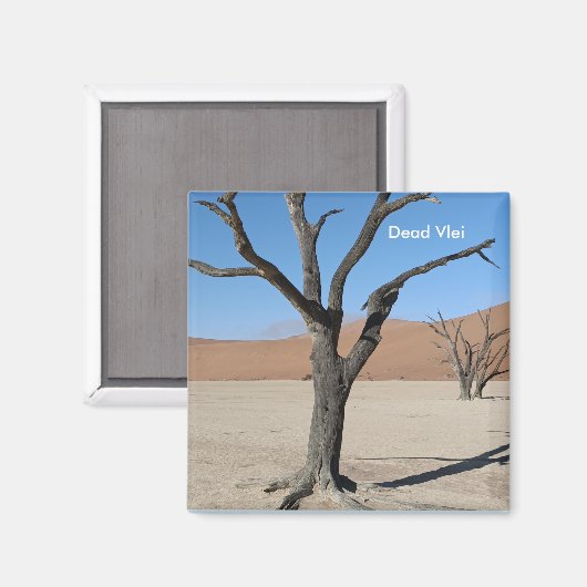 Dead Vlei, Namibische magneet (Voorkant / Achterkant)